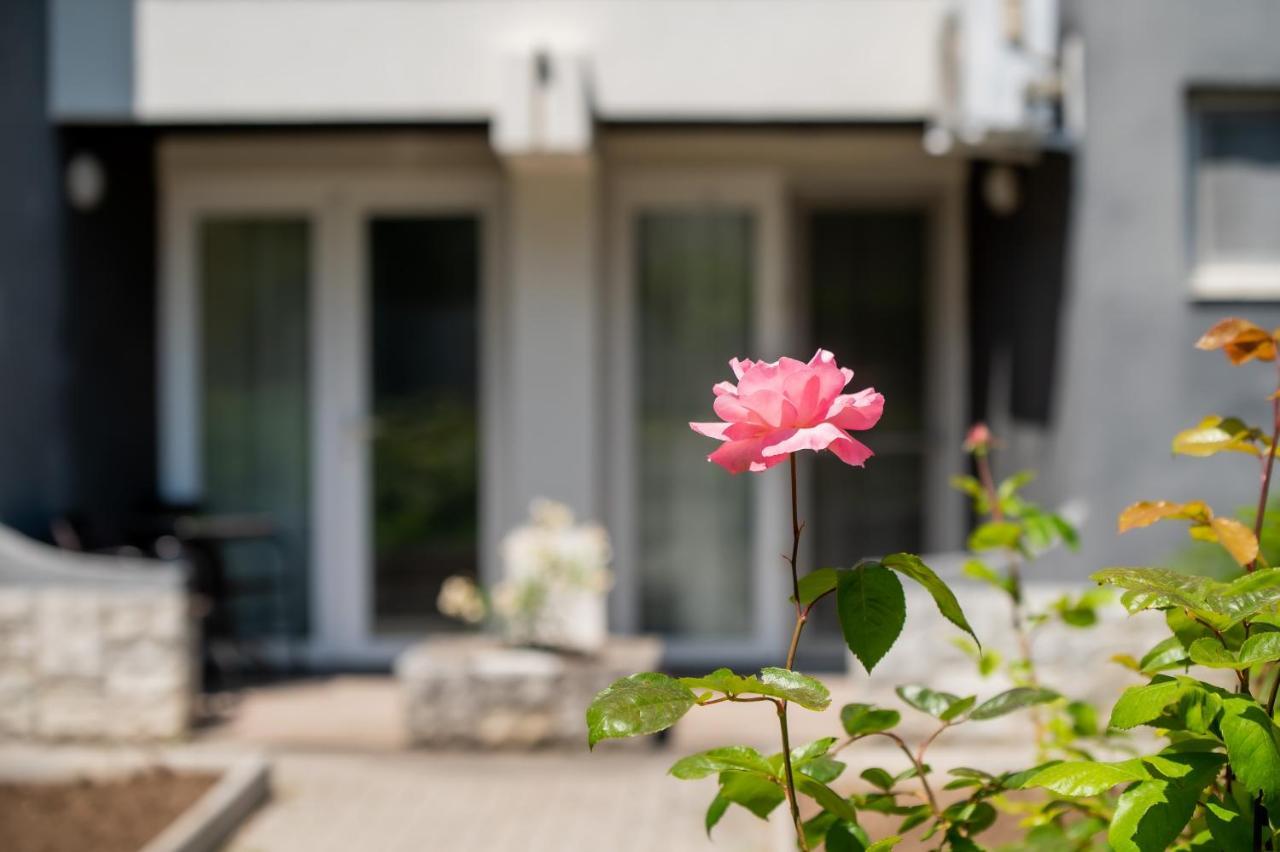 ホテル Complex Paloma Coral ママイア エクステリア 写真